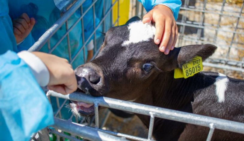 Hotel CROCUS **** Vysoké Tatry